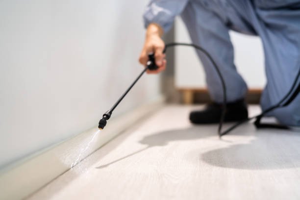 Licensed Pest Control service in Plains, KS - Show Me Pest Control